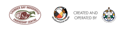 Care Bus logos (400 x 100 px)